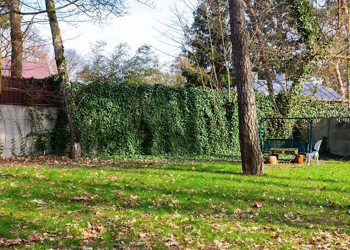 Apartament Pink Rose *